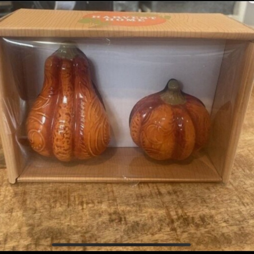 New in Box Beautiful Harvest Home.Fall Pumpkin salt & pepper shakers.